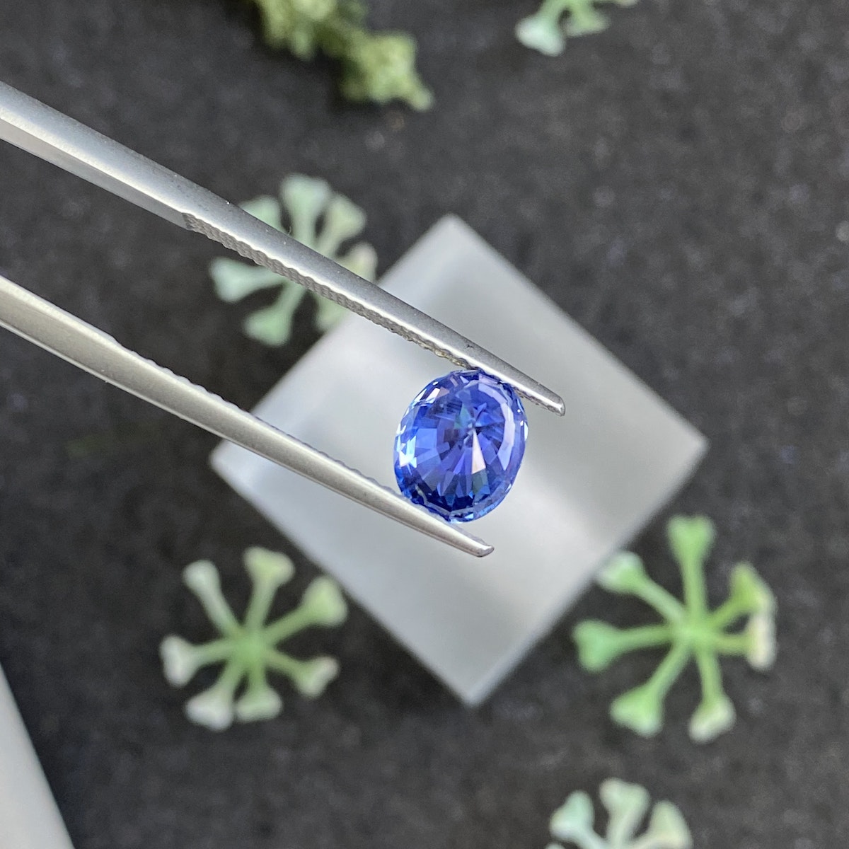 Un Saphir Bleu de 1,69 carat de Bonnot Paris est maintenu par une pince en argent au-dessus d'une surface noire texturée avec des formes végétales vertes, avec un objet carré translucide en arrière-plan.
