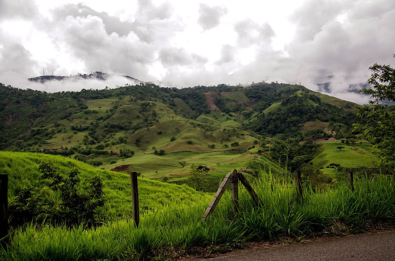Origine de l'Emeraude de Colombie