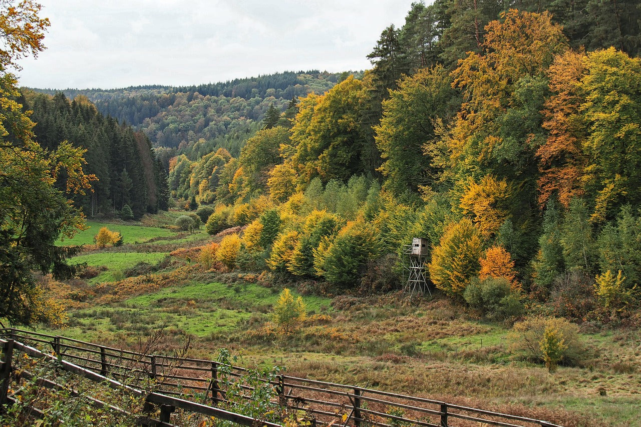 Origine de la Spessartite