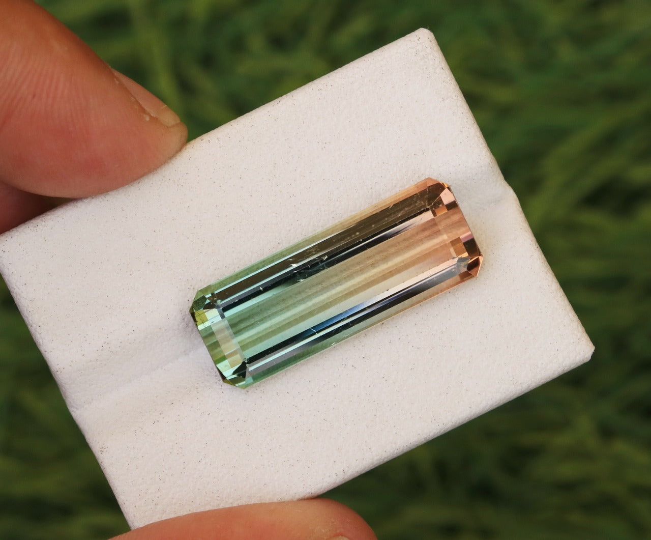 La valeur et la qualité d'une Tourmaline