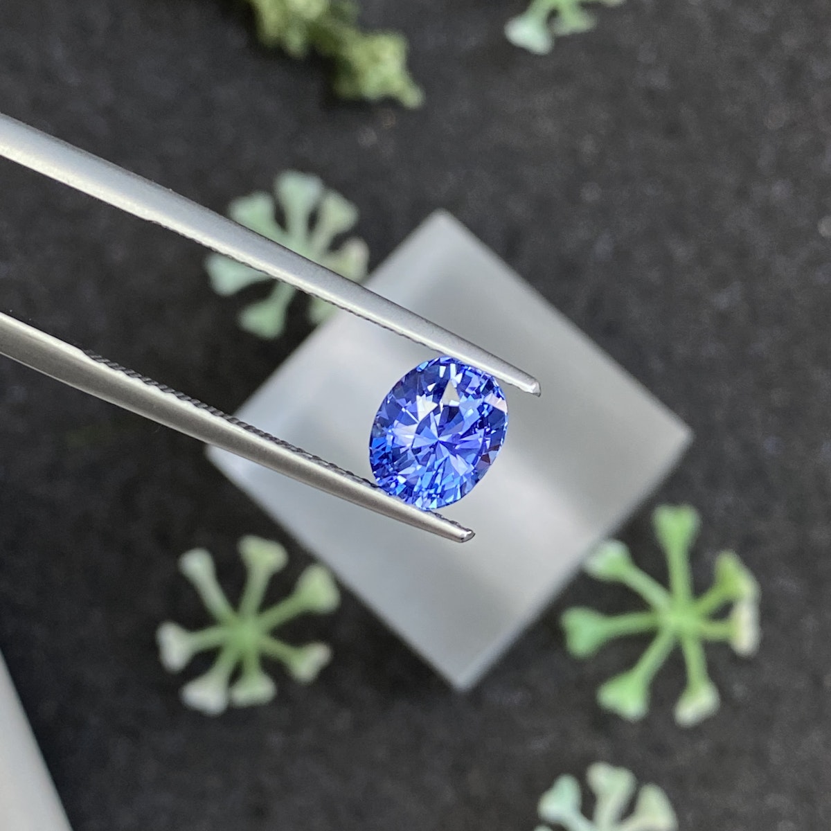 Une pince à épiler tient le Saphir Bleu · 1,69 ct, une pierre précieuse d'un bleu vif de Bonnot Paris, sur un fond sombre flou avec de petites feuilles vertes, mettant en valeur ses facettes scintillantes sous la lumière.