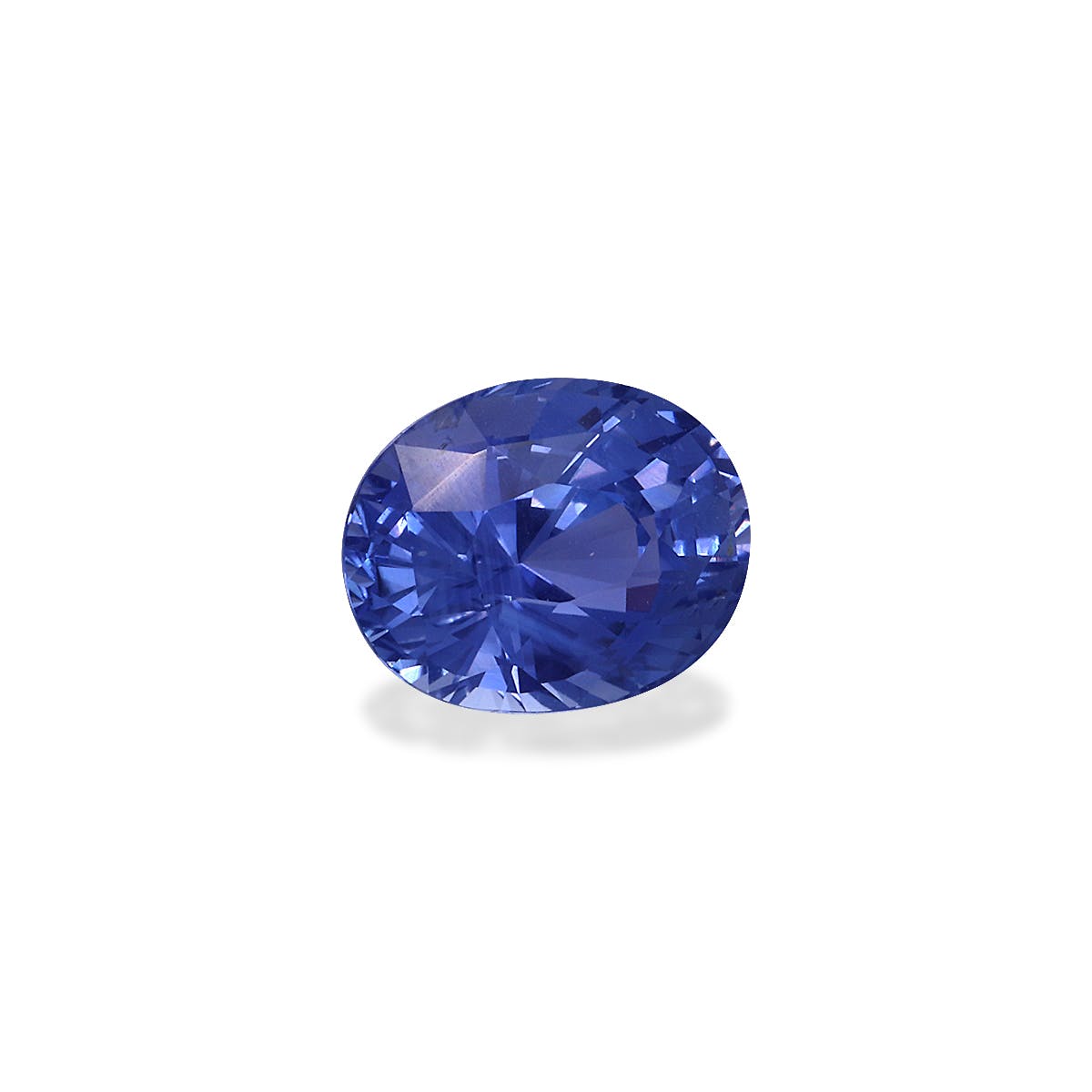 Le Saphir Bleu · 1,69ct de Bonnot Paris est une pierre précieuse bleue ovale facettée qui scintille sur un fond blanc uni.