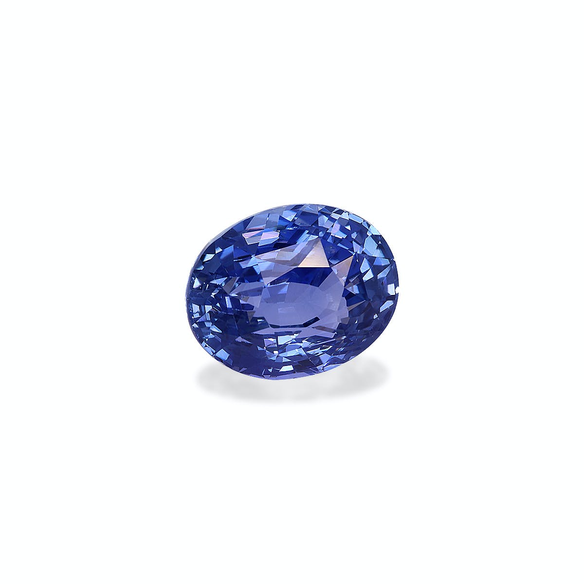 Gros plan du Saphir Bleu · 5,03 ct de Bonnot Paris, mettant en valeur ses facettes ovales et sa clarté sur un fond blanc uni.