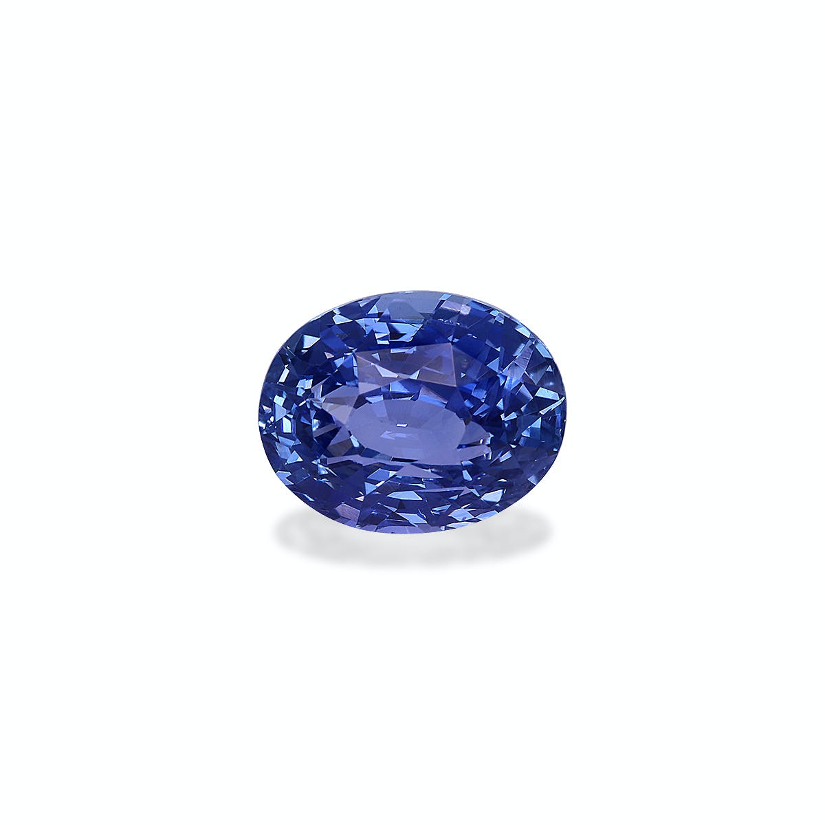 Le Saphir Bleu · 5,03ct de Bonnot Paris est un saphir bleu de forme ovale aux facettes complexes et à la couleur riche et vibrante, sur fond gris clair.