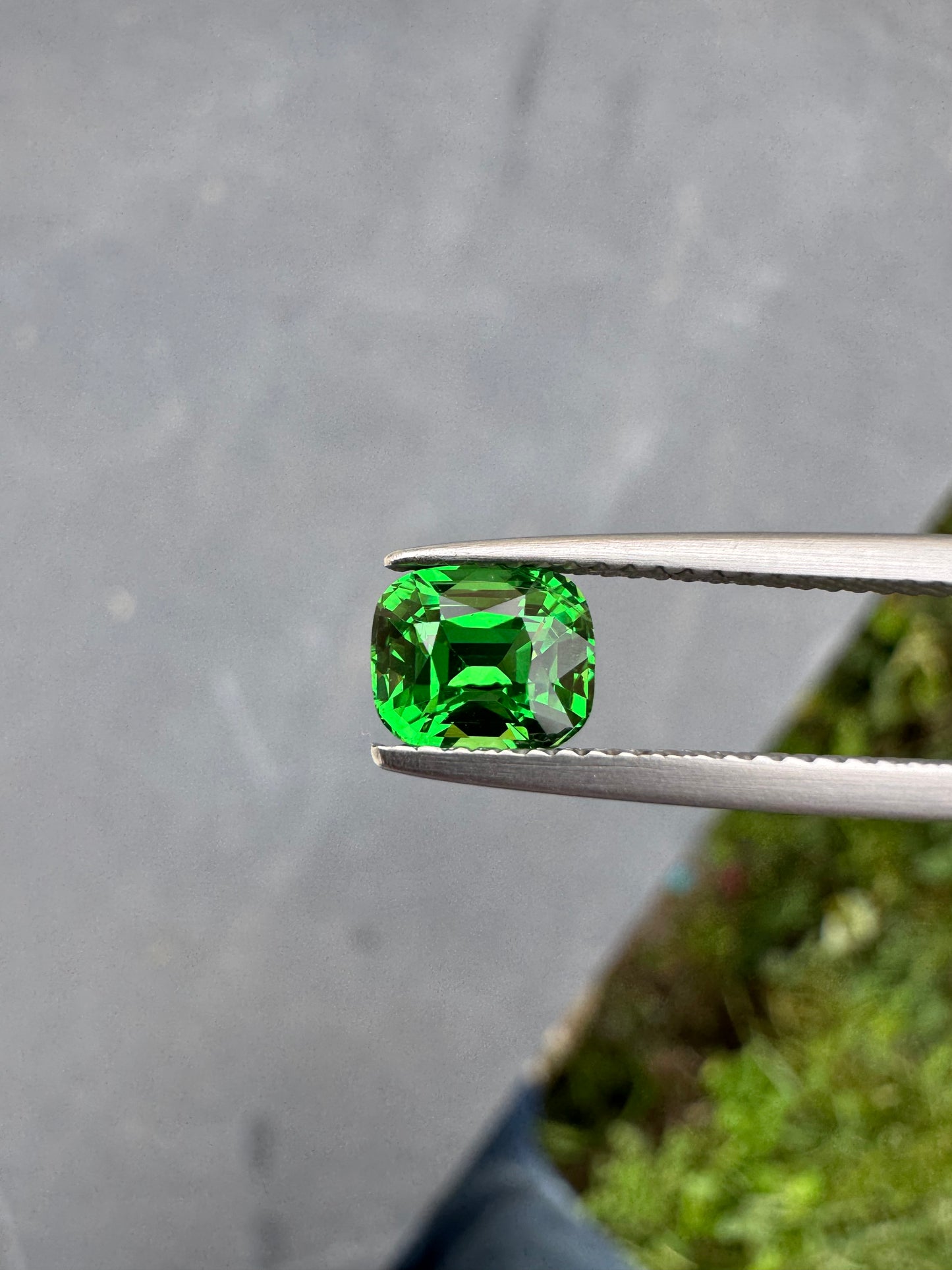 Live048 - Grenat 1,56ct