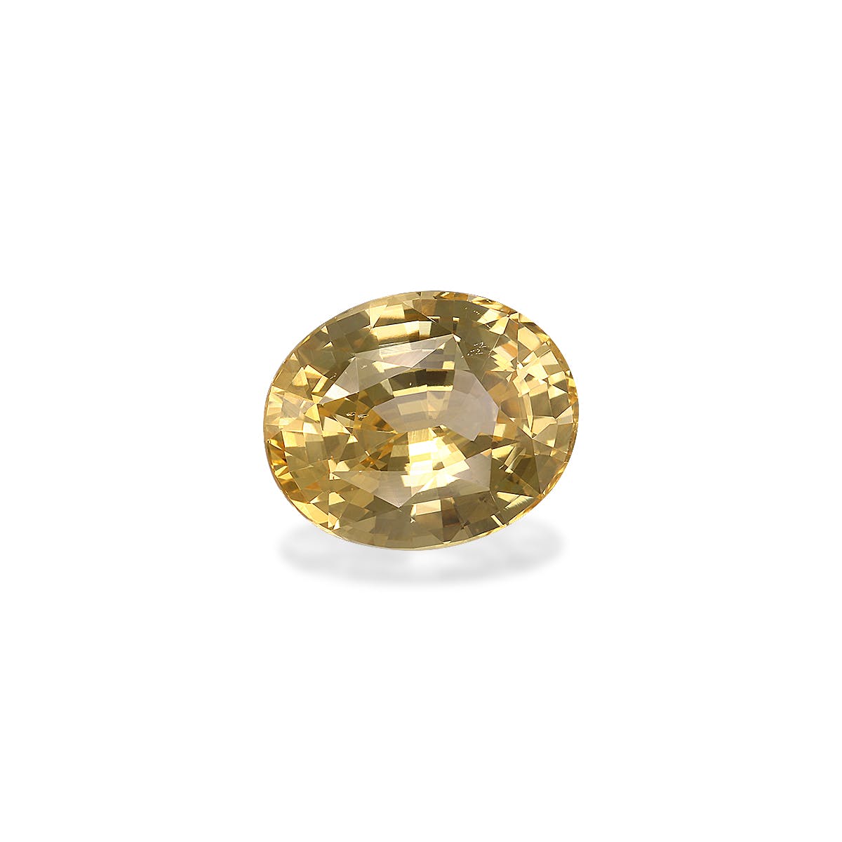 Le Saphir Jaune · 6,02ct de Bonnot Paris est une pierre précieuse ronde, jaune doré, aux facettes polies et complexes reflétant la lumière, sertie sur un fond blanc uni.