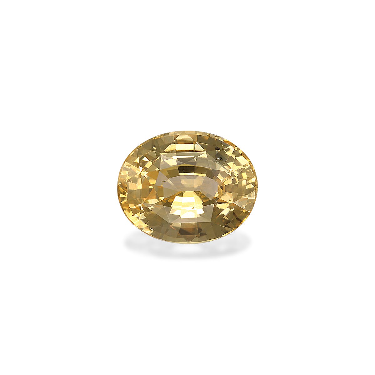 Le Saphir Jaune · 6,02ct de Bonnot Paris est une pierre précieuse jaune ronde, taille brillant, facettée, avec une surface réfléchissante et des facettes scintillantes, sertie sur un fond blanc uni.