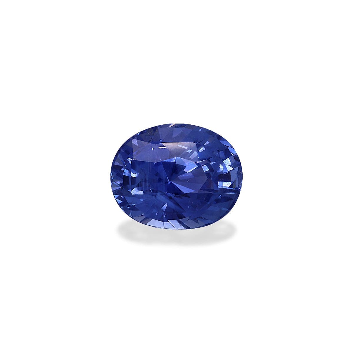 Saphir Bleu Ovale de 1,69ct