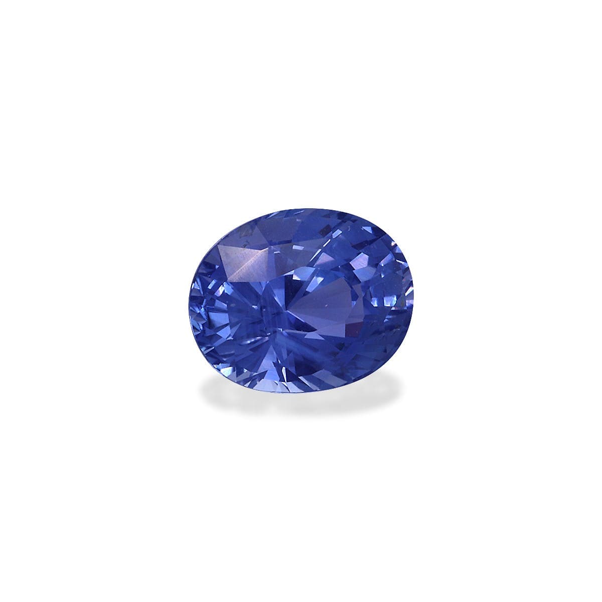 Saphir Bleu Ovale de 1,69ct
