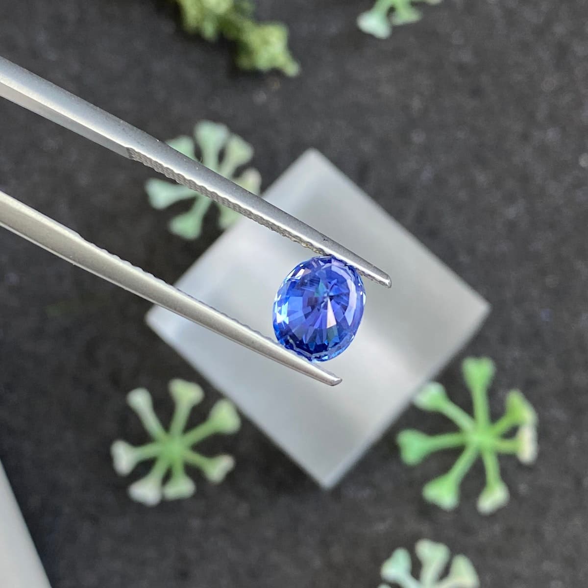 Saphir Bleu Ovale de 1,69ct
