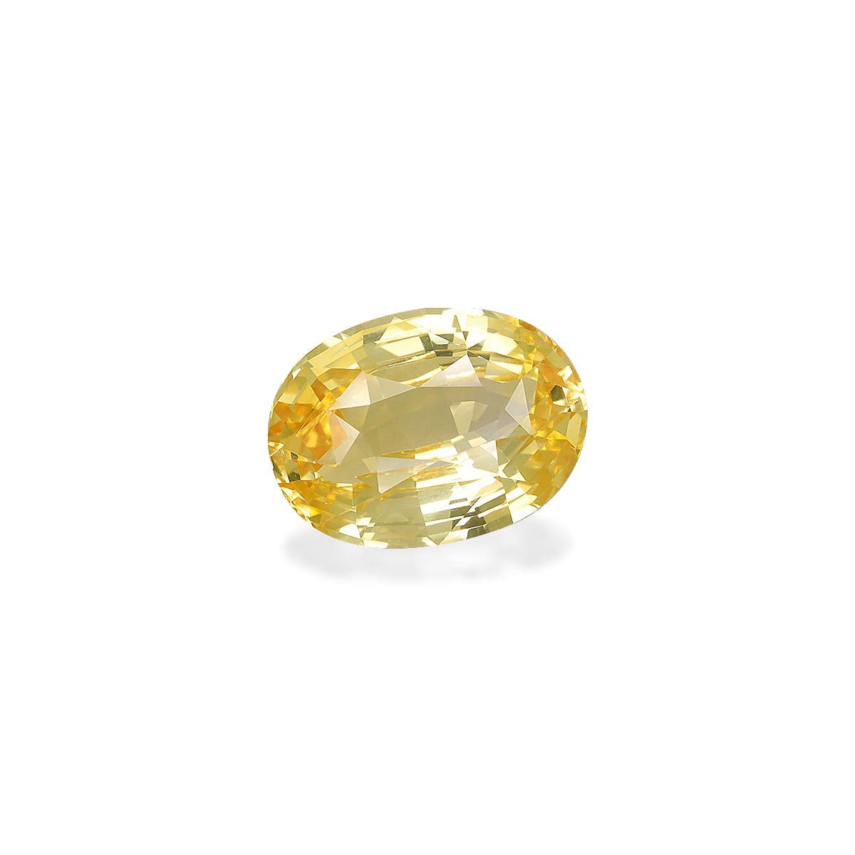 Yellow Sapphire Oval 5.63ct