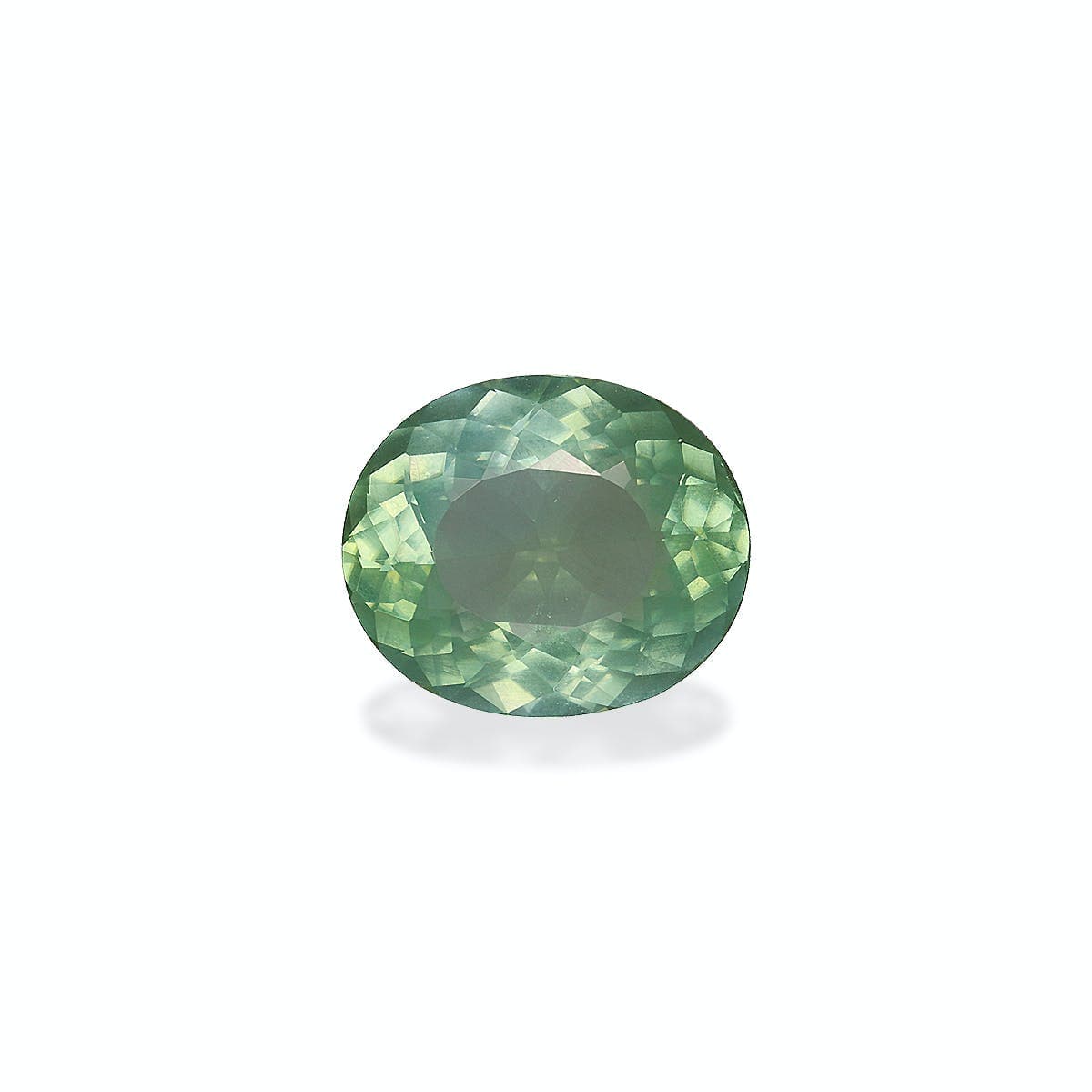 Tourmaline Ovale de 3,87ct