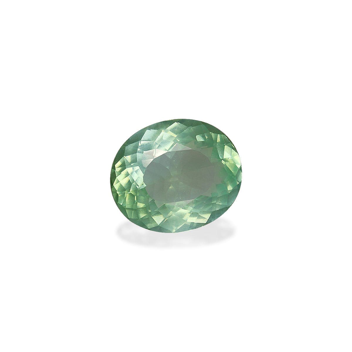 Tourmaline Ovale de 3,87ct