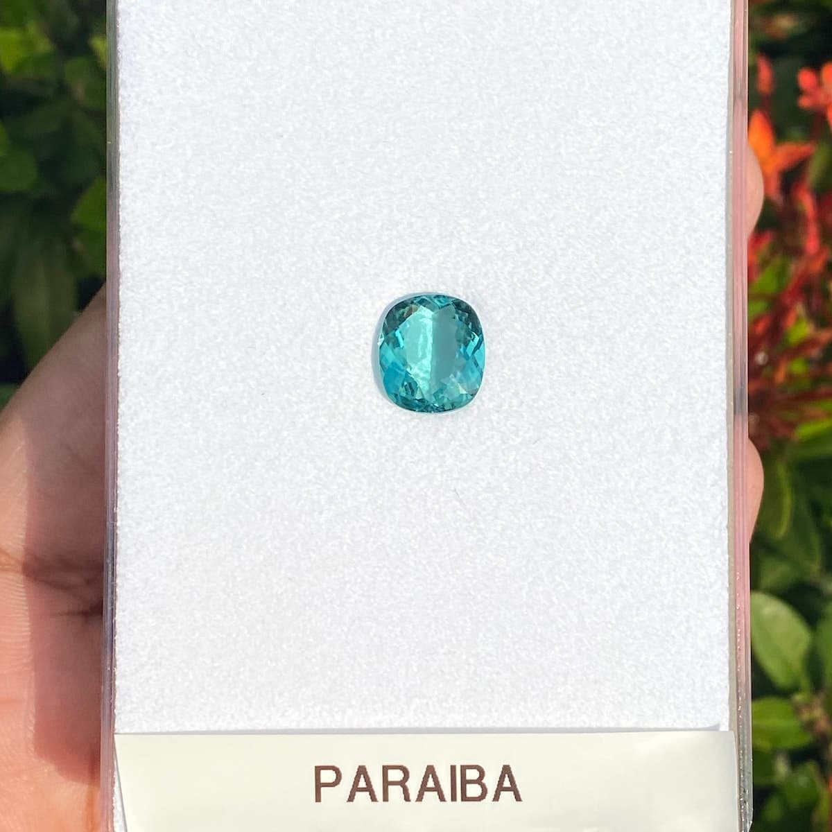 Turmalin Kissenschliff 4,08 ct