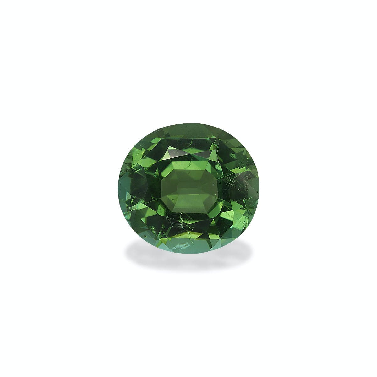 Turmalina Verde Oval de 6,67ct