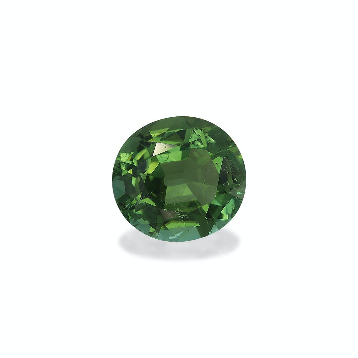 Turmalina Verde Oval de 6,67ct