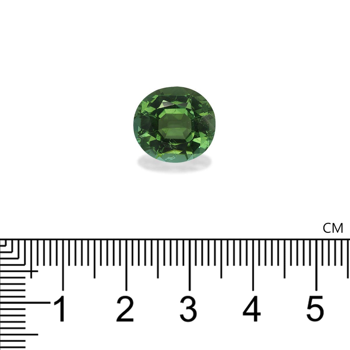 Turmalina Verde Oval de 6,67ct