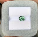 Saphir Vert Radiant de 2,57ct