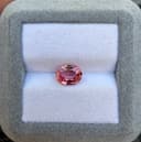Safira Padparadscha Oval de 1,84ct
