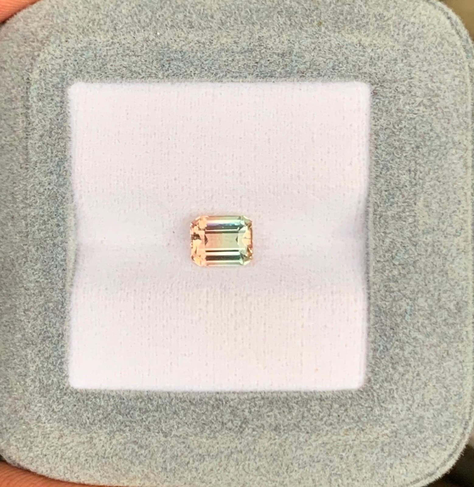Tourmaline Bicolore Rectangle de 1,13ct