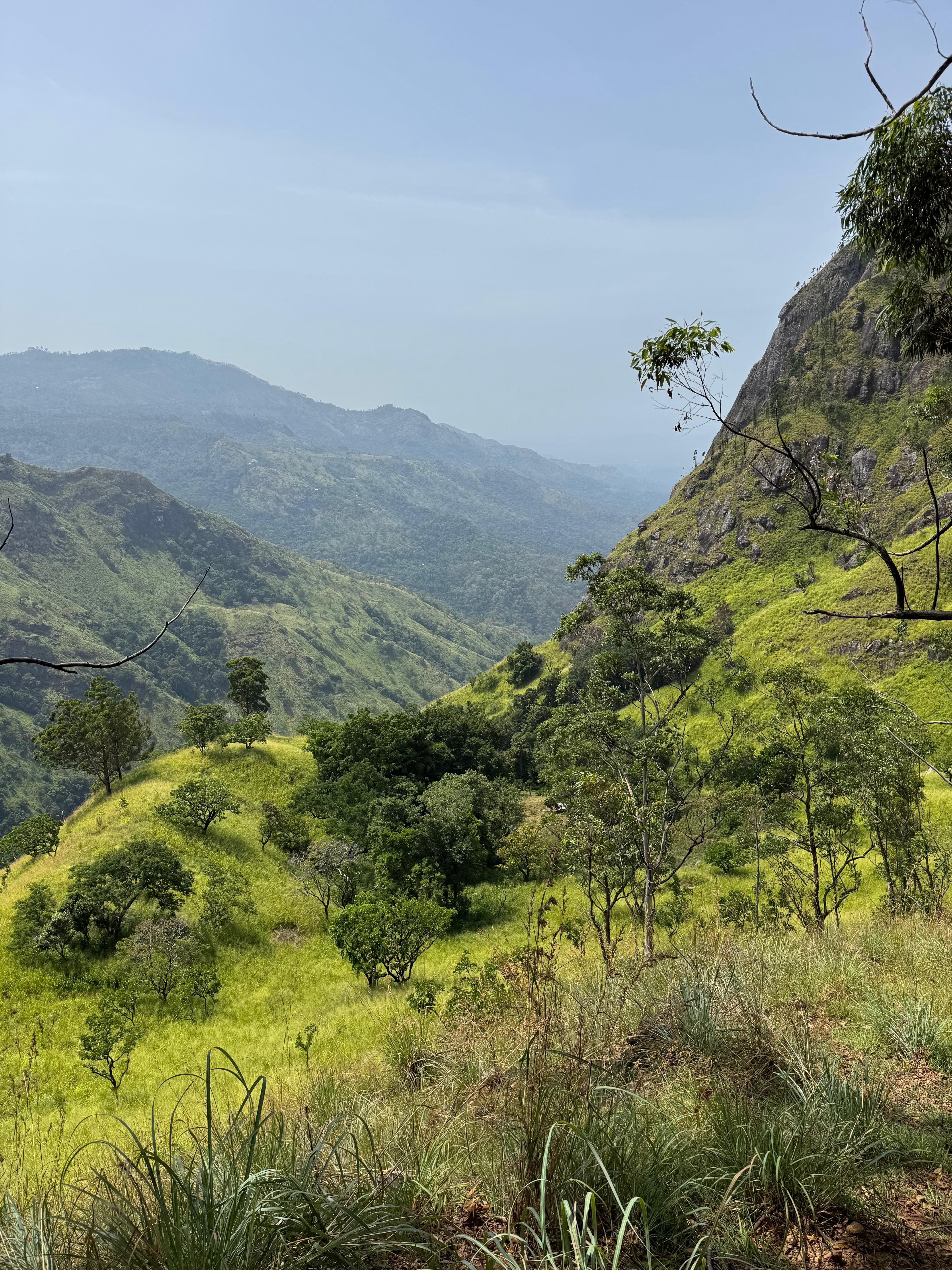 madagascar — saphirs verts bruts sur toile