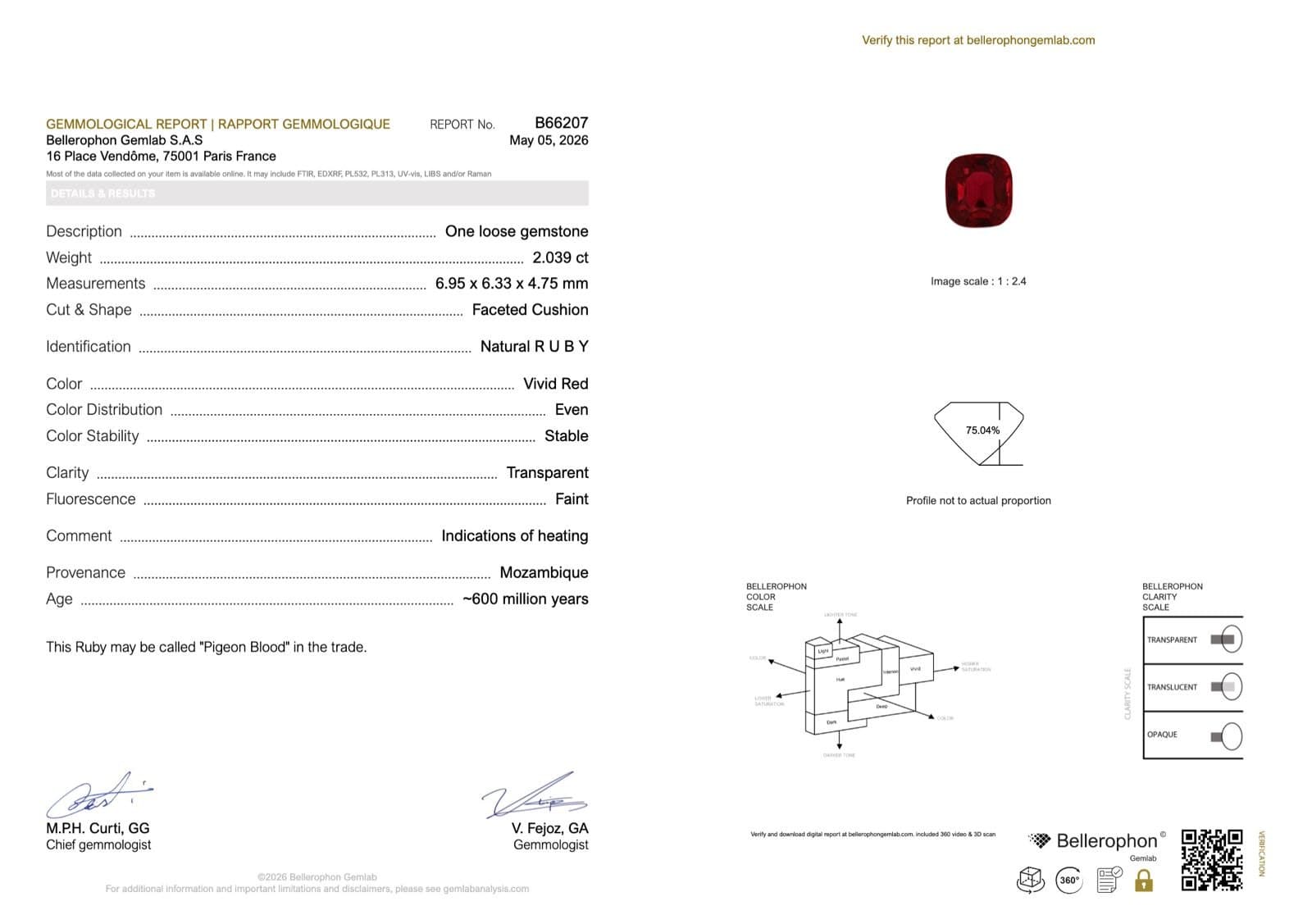 certificat anonymisé + repères