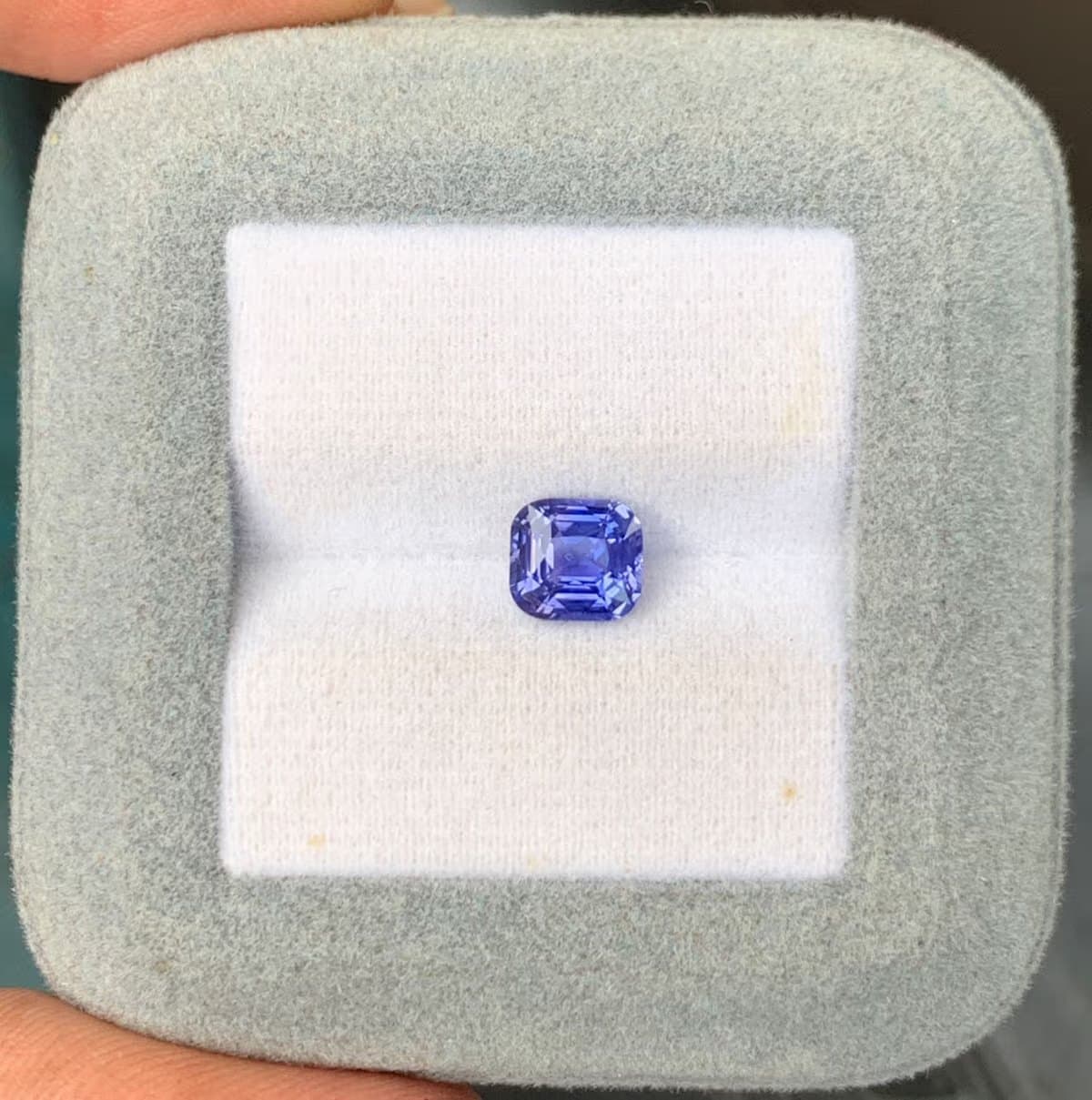 Violet-bleu — le violet qui bascule vers l'indigo