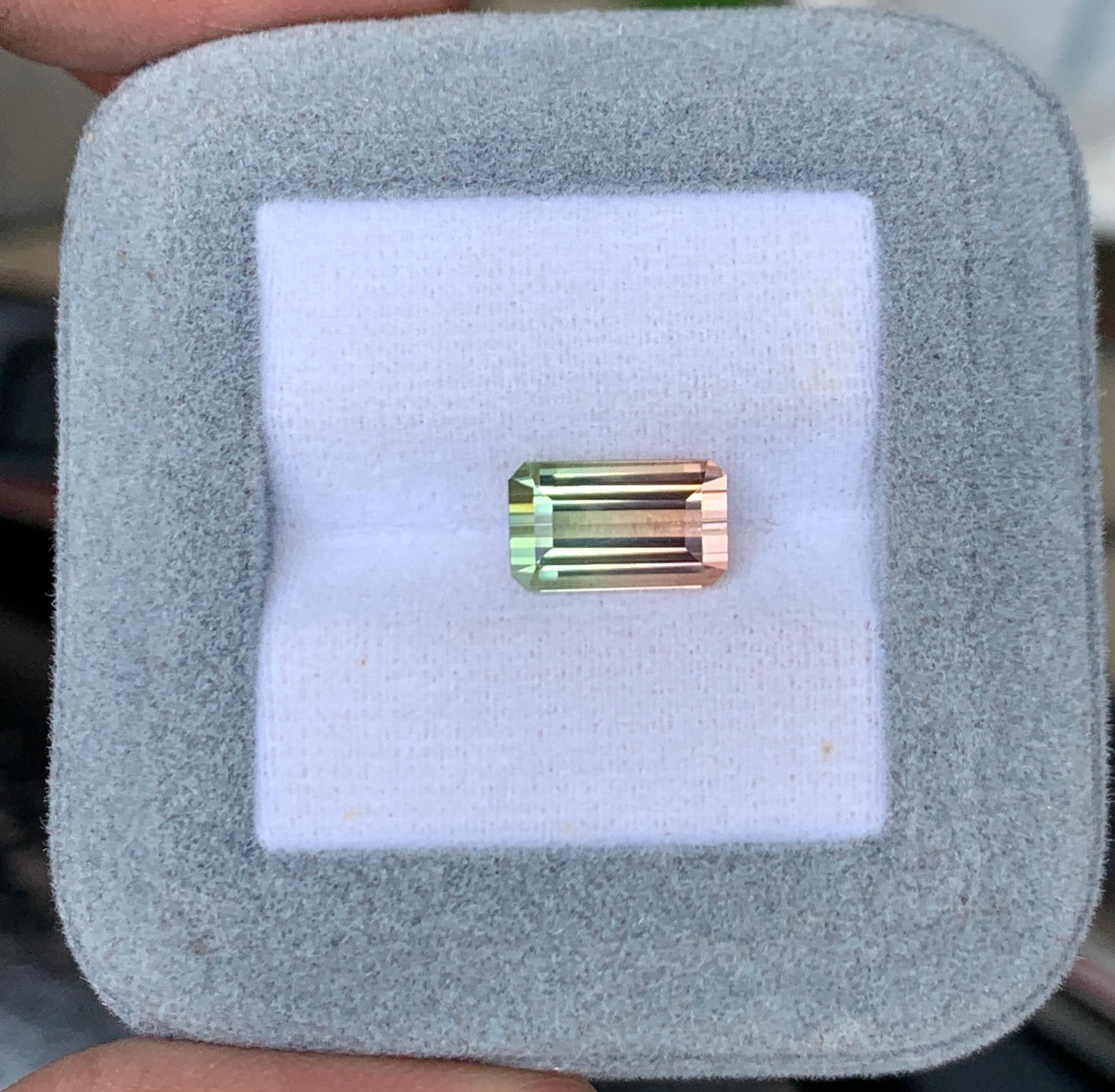 étude — bi-colore 3,17 ct
