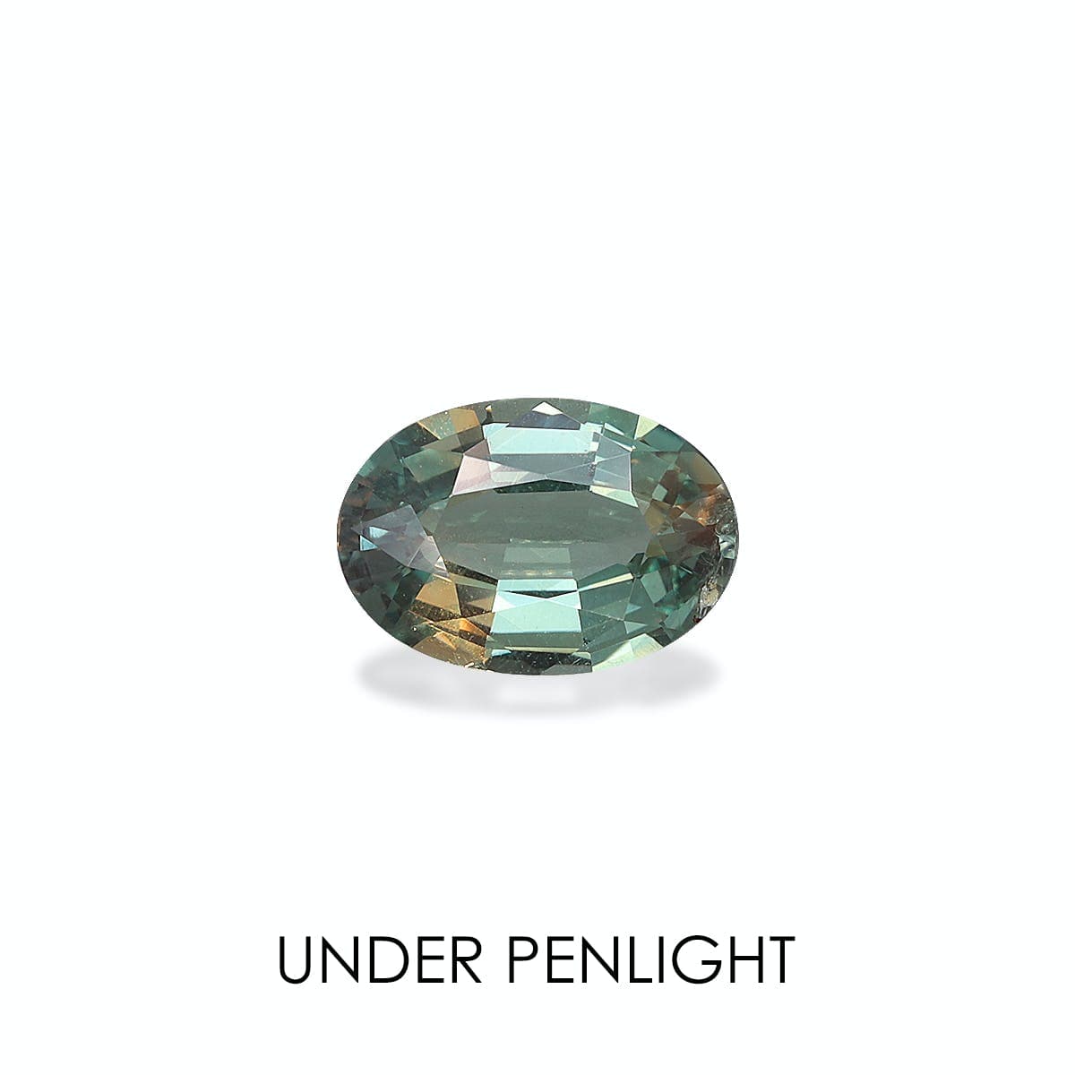 Alexandrite Ovale de 0,89ct