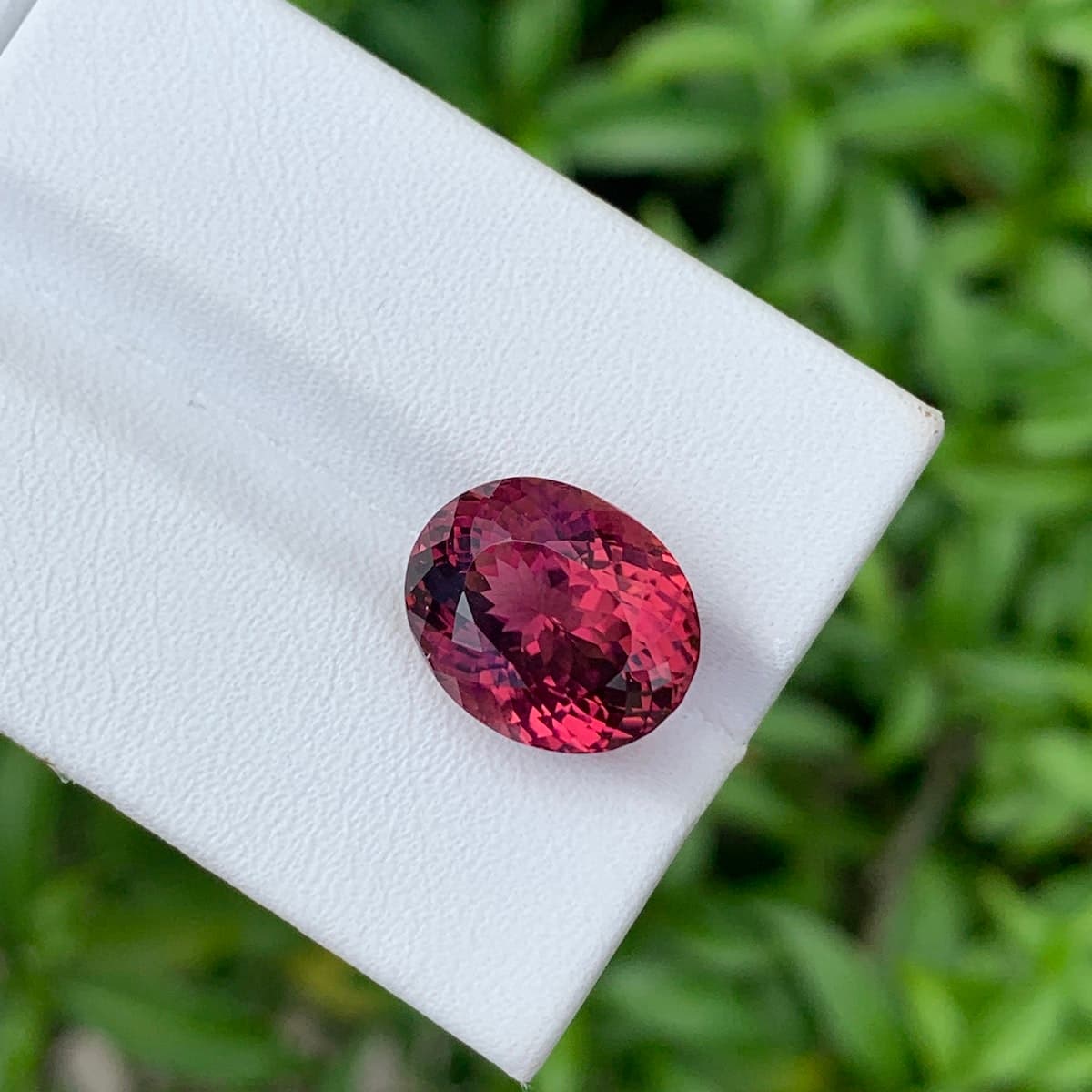 Ovale Rosa Turmalin 5,88 ct