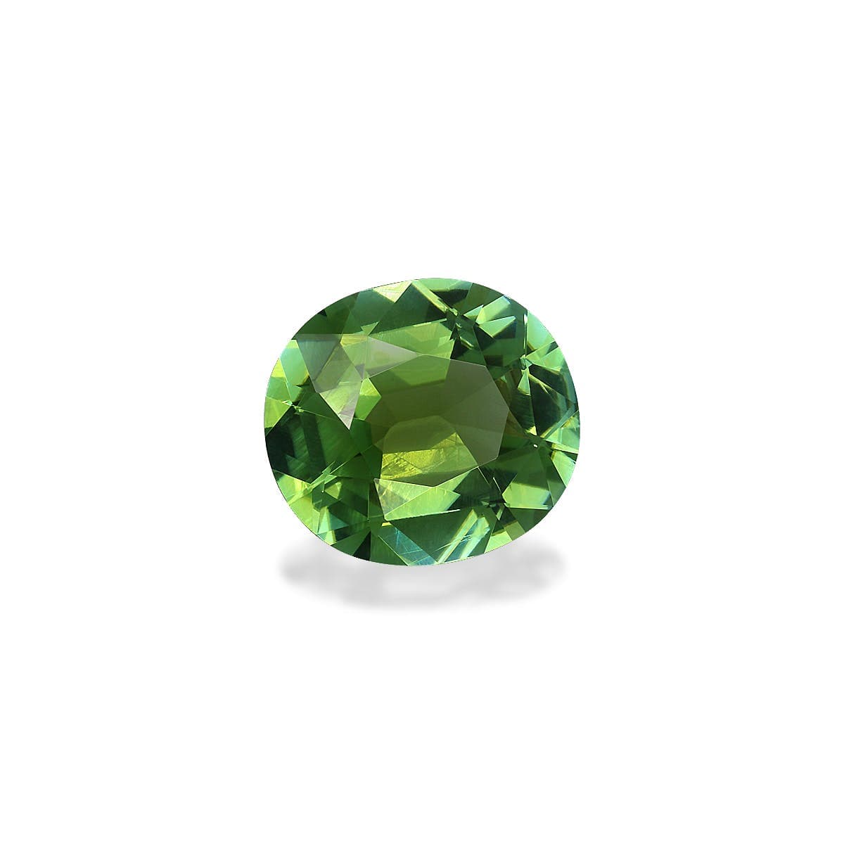 Tourmaline Verte Ovale de 4,10ct