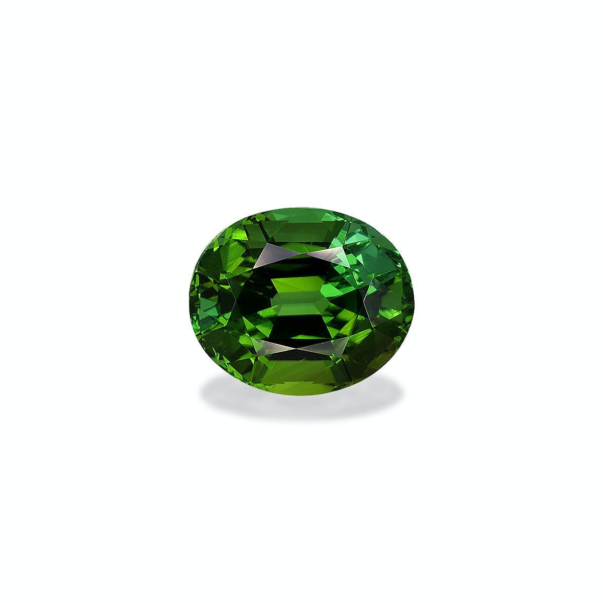 Turmalina Verde Ovalada de 7,65 ct