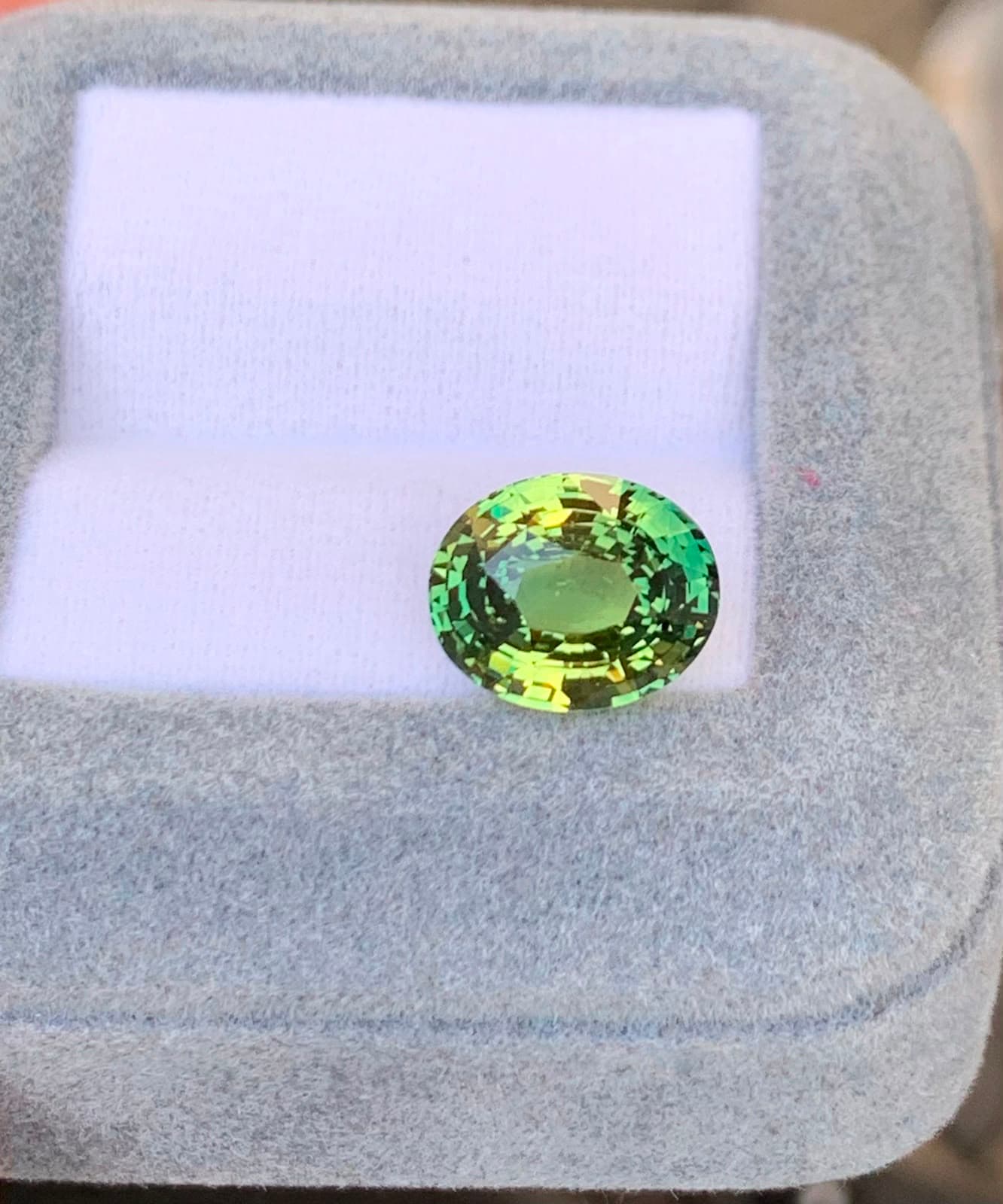 Saphir Bicolore Ovale de 6,70ct