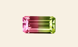 Tourmaline Bicolore