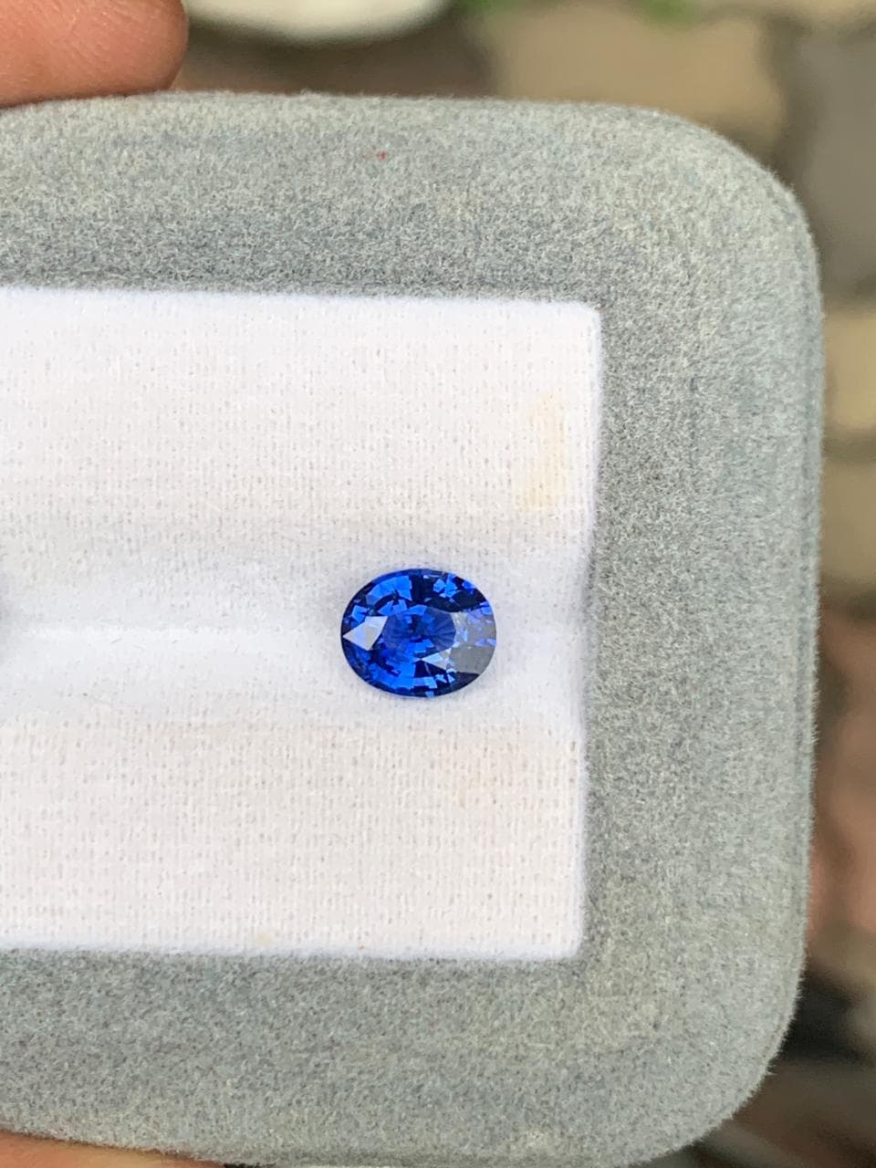 Saphir Bleu Ovale de 1,56ct — Chauffé