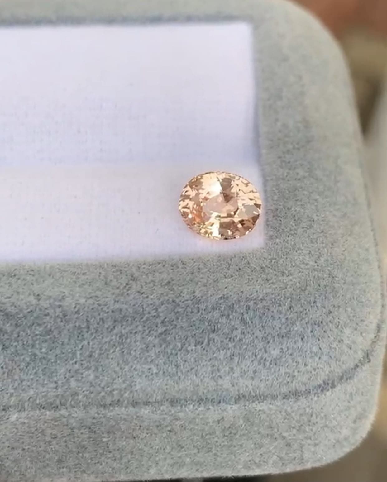 Saphir Pêche Ovale de 1,60ct