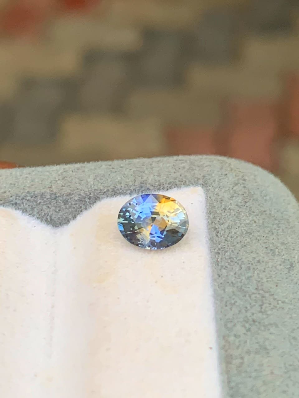 Saphir Bicolore Ovale de 1,15ct