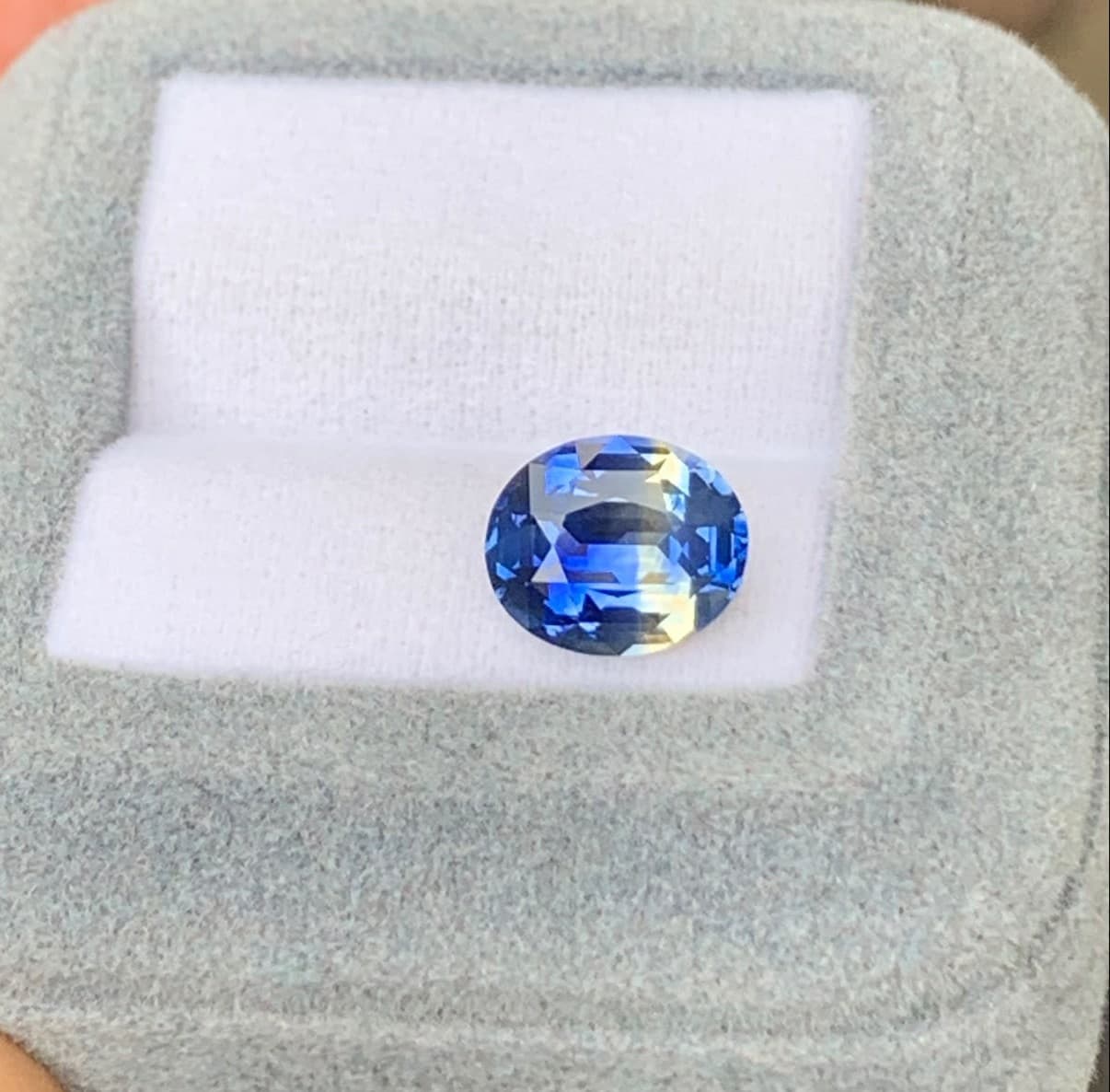 Saphir Bicolore Ovale de 4,02ct