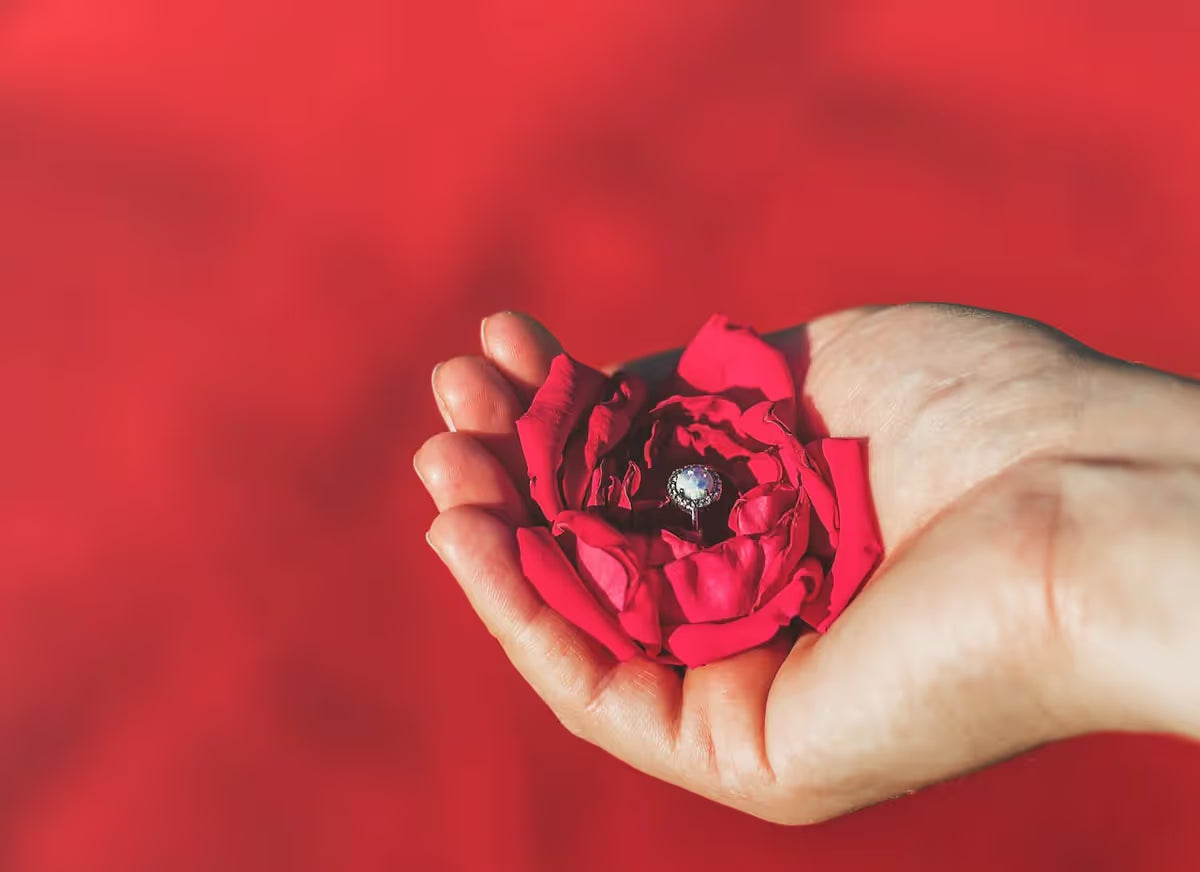 main qui tient une rose rouge avec une bague