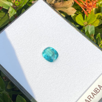 Une Tourmaline Paraïba de 4,08 carats de Bonnot Paris, avec une taille facettée carrée aux coins arrondis, est présentée sur une carte blanche partiellement visible au soleil sur fond de feuillage vert.