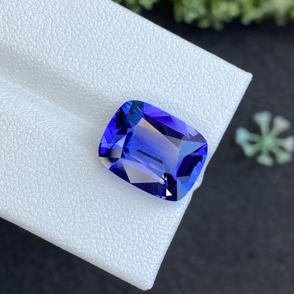 Une tanzanite Bonnot Paris de 6,66 carats repose sur une surface blanche, ses facettes taille coussin reflétant des nuances bleues et violettes. Une plante verte floue apparaît sur le fond sombre.