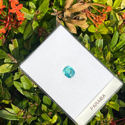 La Tourmaline Paraïba, 4,08 ct de Bonnot Paris, est présentée sur une carte blanche parmi des feuilles vertes luxuriantes et des fleurs rouge-orange, soulignant sa teinte bleue vibrante avec un contraste époustouflant.