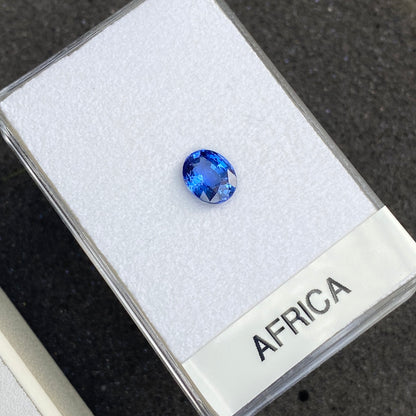 Une petite pierre précieuse bleue ovale est présentée sur un support blanc dans un écrin transparent étiqueté « Saphir Bleu · 2,04 ct » par Bonnot Paris. Le fond sombre met en valeur la brillance de la pierre et de son écrin.