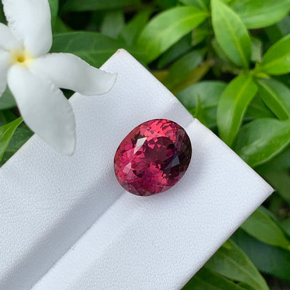La « Tourmaline Rose · 5,88ct » de Bonnot Paris repose sur une surface blanche, complétée par des feuilles vertes luxuriantes et une fleur de jasmin blanche.