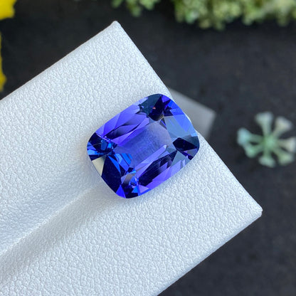 Une tanzanite facettée de 6,66 ct de Bonnot Paris brille de teintes bleues vibrantes sur une surface blanche, sur fond sombre avec des touches de verdure.