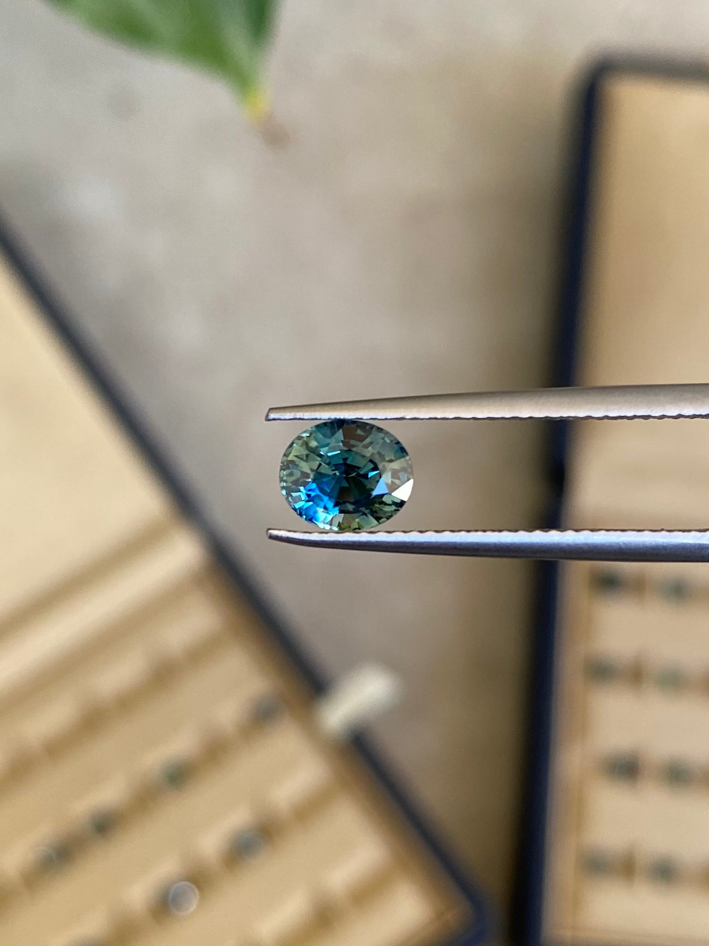 Saphir teal • 1,60ct