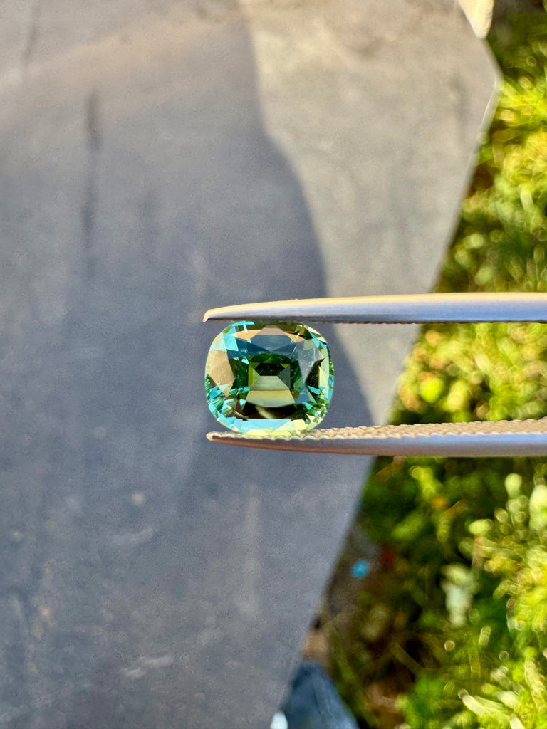 Live 003 - Tourmaline