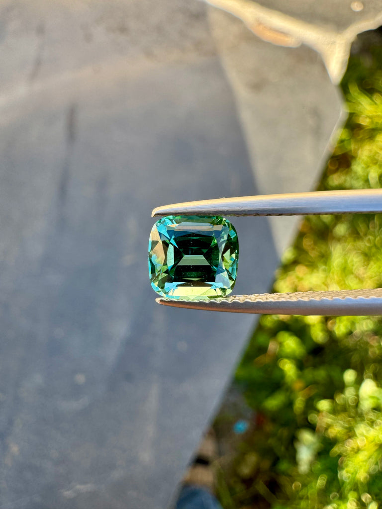 Live 004 - Tourmaline