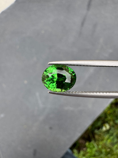 Grenat Tsavorite • 3,3ct