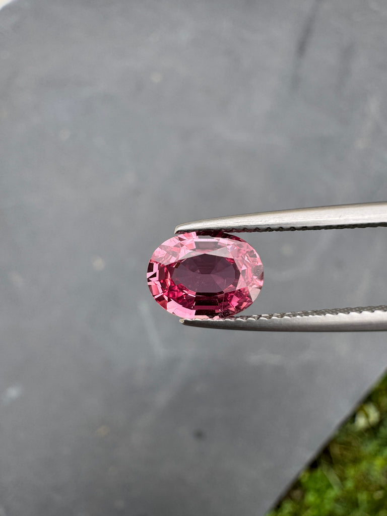 Live057 - Saphir 1,84 H